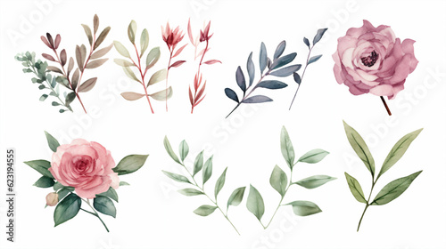 Watercolor set of pink roses, eucalyptus leaves and twigs. Hand drawn vector illustration.