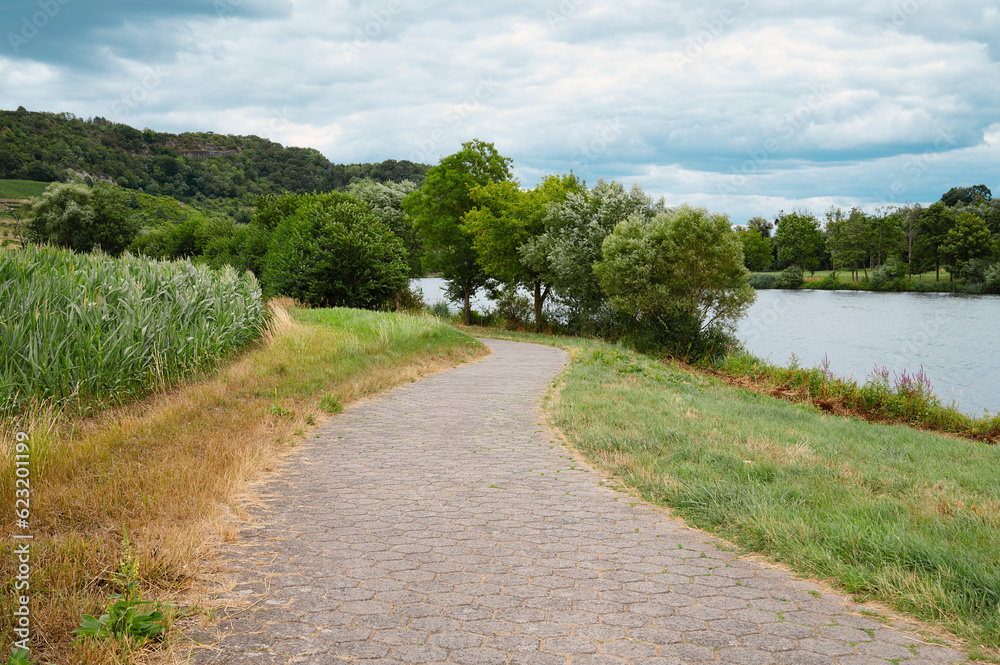 Landscape with a bicycle path or  sidewalk at the river Moselle in Trier, rhineland palatine in Germany, summer at the valley
