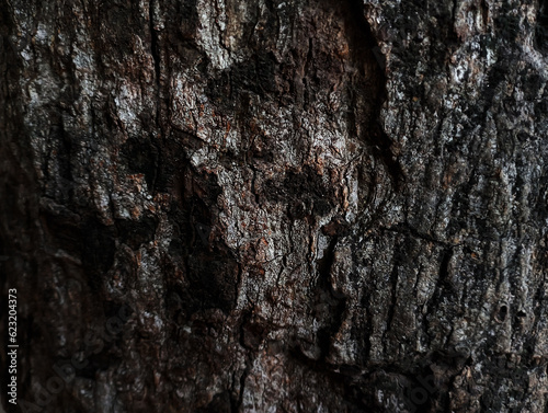 surface texture of old black tree bark,old black tree bark surface texture. Background for banner,Smooth and cracked texture. Tree stump background.the tree with beautiful bark during the summer, photo