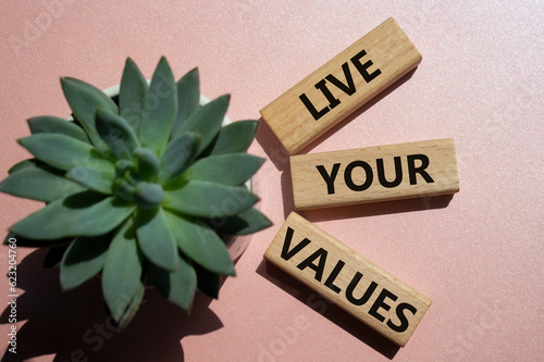 Live your values symbol. Concept words 'Live your values' on wooden blocks with succulent plant. Beautiful pink background. Business and Live your values concept. Copy space.
