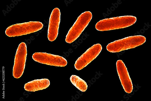 Klebsiella bacteria, a type of Gram-negative bacteria known for causing a range of infections, 3D illustration photo