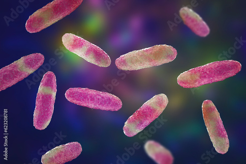 Klebsiella bacteria, a type of Gram-negative bacteria known for causing a range of infections, 3D illustration