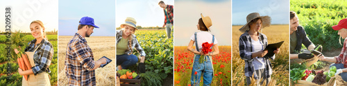 Group of working farmers in...