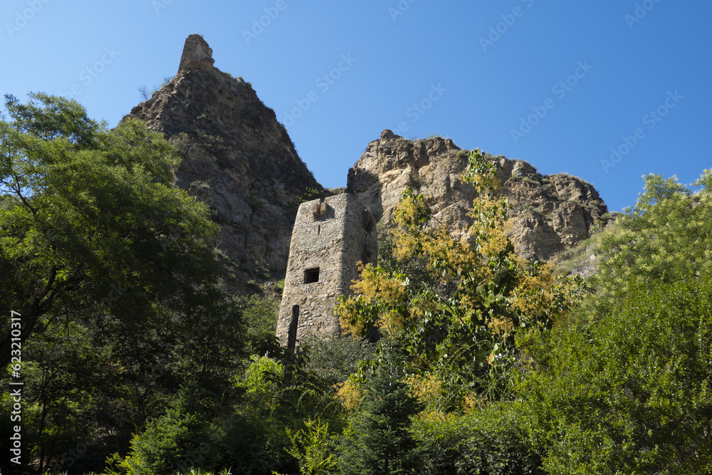Ancient ruins in the mountains in the botanical garden in Tbilisi