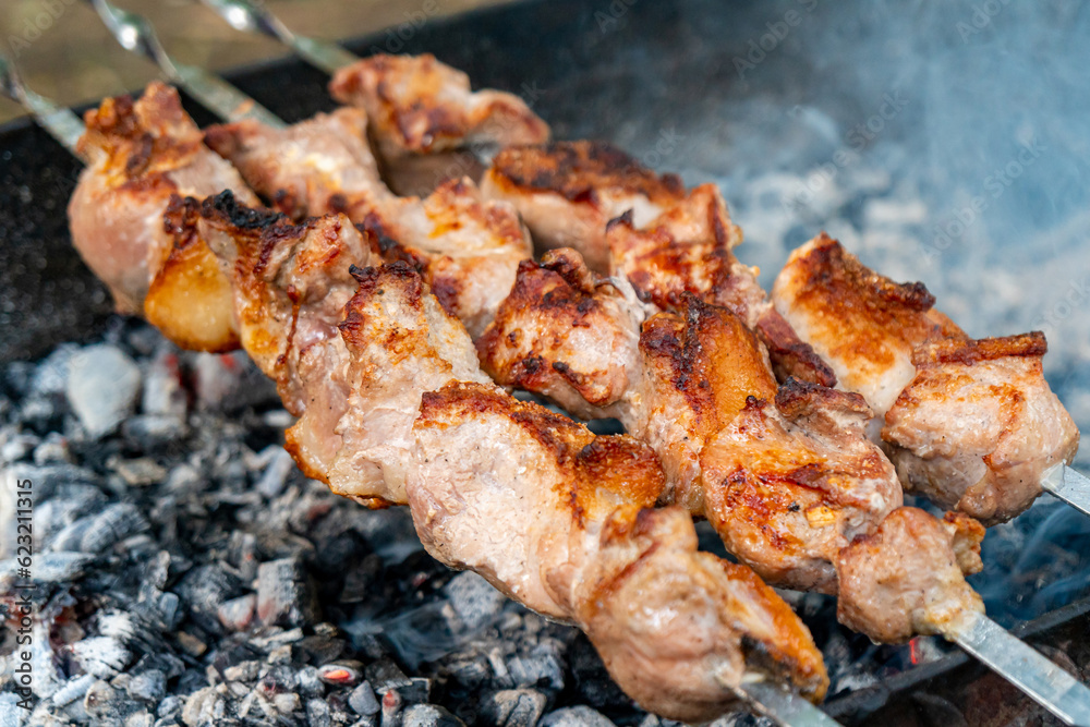 Traditional georgian mtsvadi, grill on the coals with smoke. Shashlik