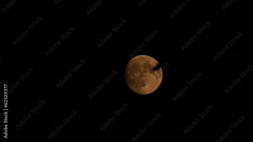 Full moon at night hides behind trees and leaves Full moon at night hides behind trees and leaves