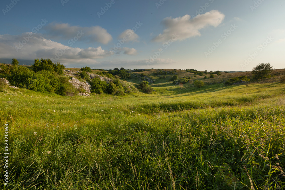 Green natural meadow with grass and beautiful sky