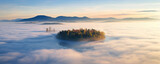 Aerial view of fog rising above island trees. Misty landscape with forest.