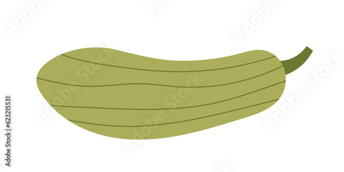 Fresh zucchini isolated on background. Fresh vegetable marrow. Oblong green squash. Harvest courgette organic ingredient