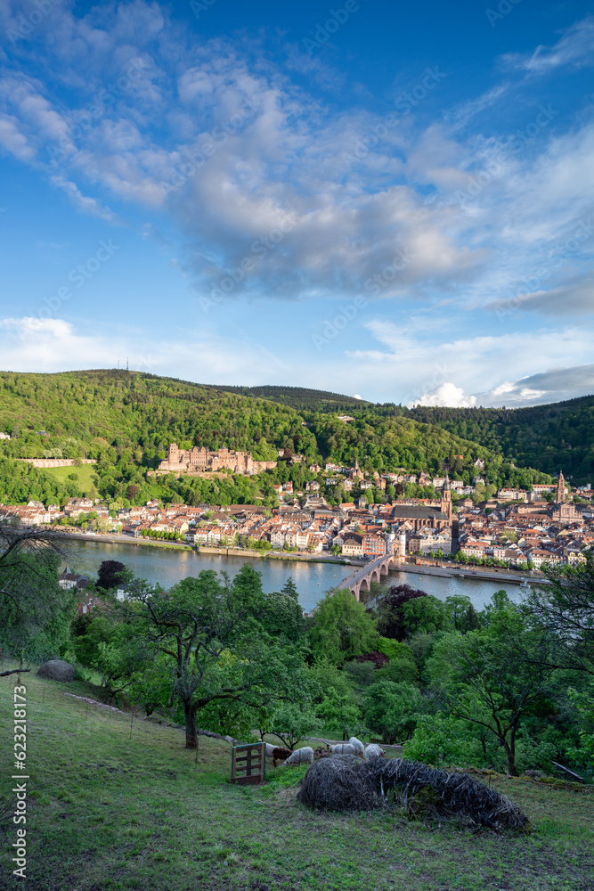 Heidelberg city in summer, Baden-Württemberg, Germany