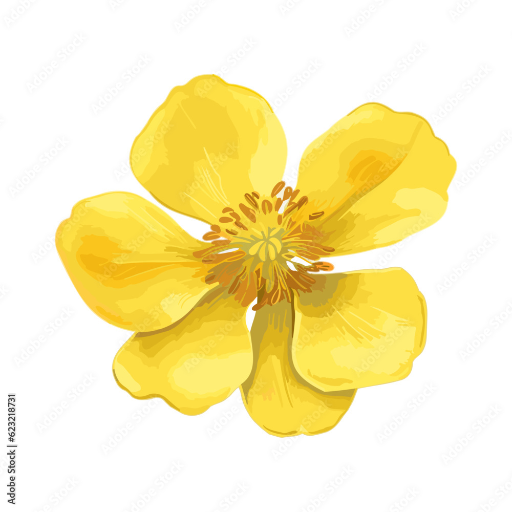 Obraz premium Blooming watercolor yellow flower. Yellow spring flower head isolated. Floral watercolor. Design element for wedding cards, invitations, greeting posters. Vector botanical illustration.
