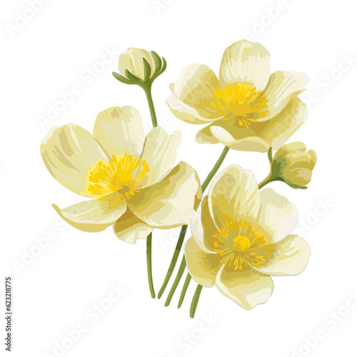 Bouquet of flowers. Wild field flowers. Isolated flower watercolor. Vector botanical illustration.