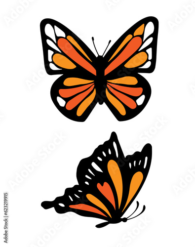 The monarch butterfly vector illustration