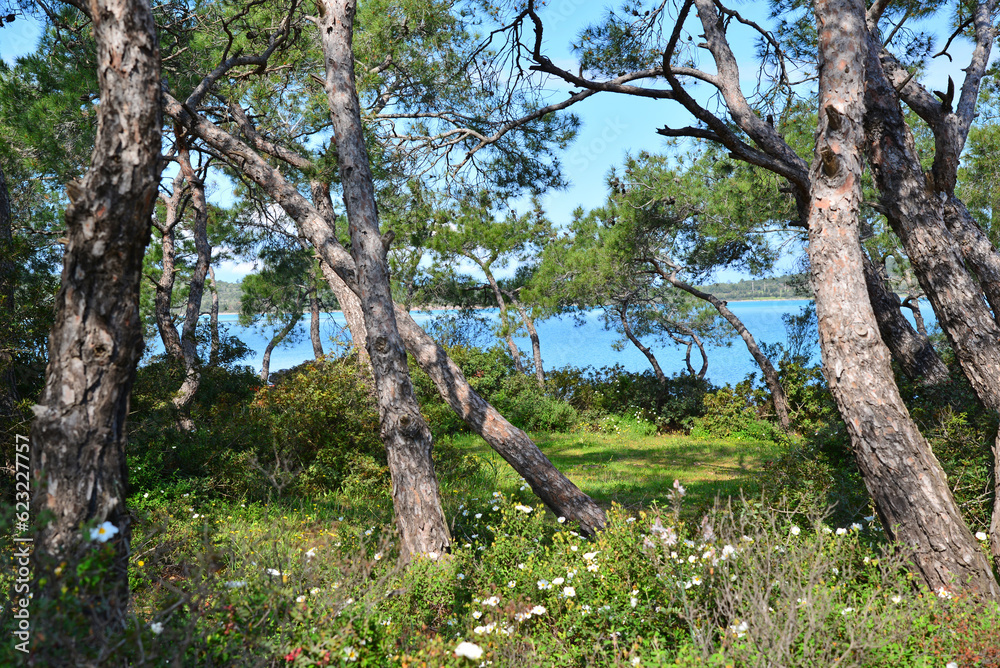 Ayvalik is an important sea tourism city in Turkey. Swimming and camping are common. Ayvalik is an important sea tourism city in Turkey. Swimming and camping are common.