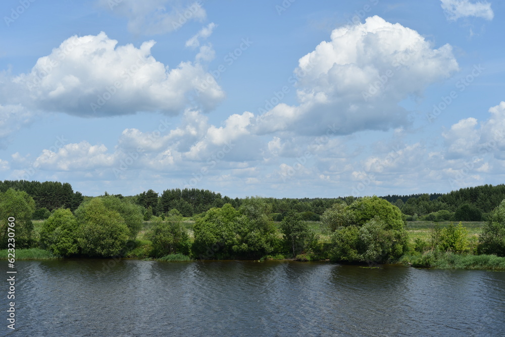 Summer sunny landscape. View of the river, green shore, dense forest, blue sky with white clouds. Beauties!