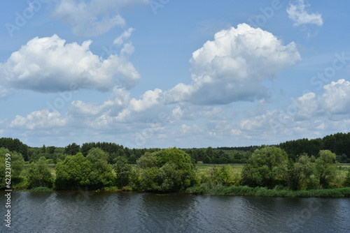 Summer sunny landscape. View of the river, green shore, dense forest, blue sky with white clouds. Beauties! © Nadezda