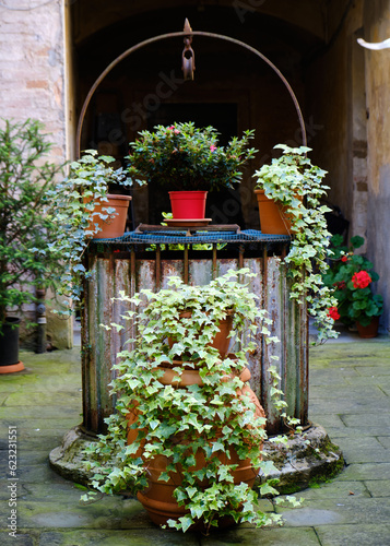 Foto scattata nelle vie del centro storico di Buonconvento ad un vecchio pozzo ricoperto di fiori. photo