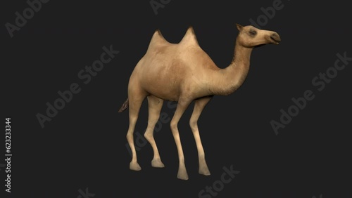 A 3d render of a camel in 45 degree angle photo