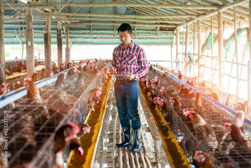 A farmer man collecting intel of eegs and chickens on his tablet in front of chickens in the cage in the farm with rustic background with light and flare