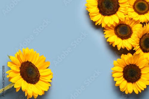 Beautiful sunflowers on blu...