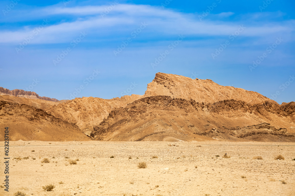 Landscape photography of Sahara desert, sand dunes and stones sunny day. View of expanses of desert hills with sand, vegetation and blue sky, Sahara, Tozeur city, Tunisia, Africa. Copy ad text space