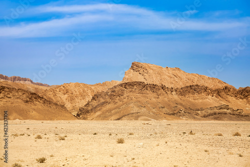 Landscape photography of Sahara desert, sand dunes and stones sunny day. View of expanses of desert hills with sand, vegetation and blue sky, Sahara, Tozeur city, Tunisia, Africa. Copy ad text space