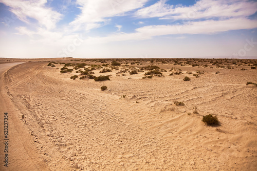 View of expenses photography of Sahara desert sunny day, sand dunes and stones. Landscape of desert hills with sand, vegetation and blue sky, Sahara, Tozeur city, Tunisia, Africa. Copy ad text space