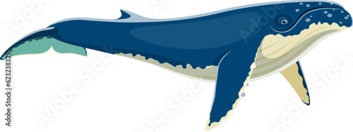 Humpback whale animal character. Isolated cartoon vector huge marine mammal with humpbacked dorsal fin and melodic songs. Inhabits oceans, with impressive size and graceful underwater acrobatics