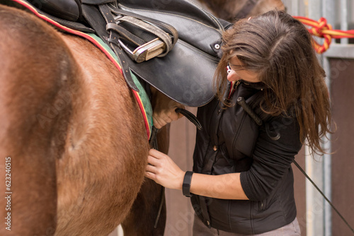 How to use horse saddle, harness and strap accessories. Mid-adult Hispanic woman closeup in paddock