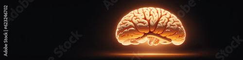 Luminescent Cognition: Illuminated Brain in a Sea of Darkness