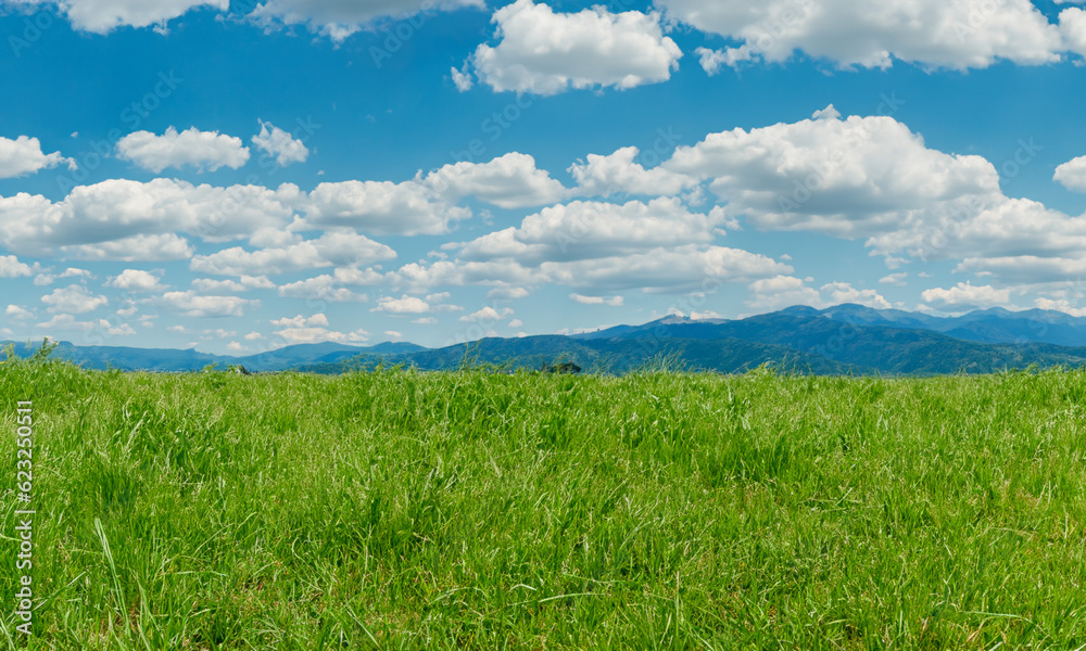 Beautiful landscape with grass, trees, mountains and blue sky.