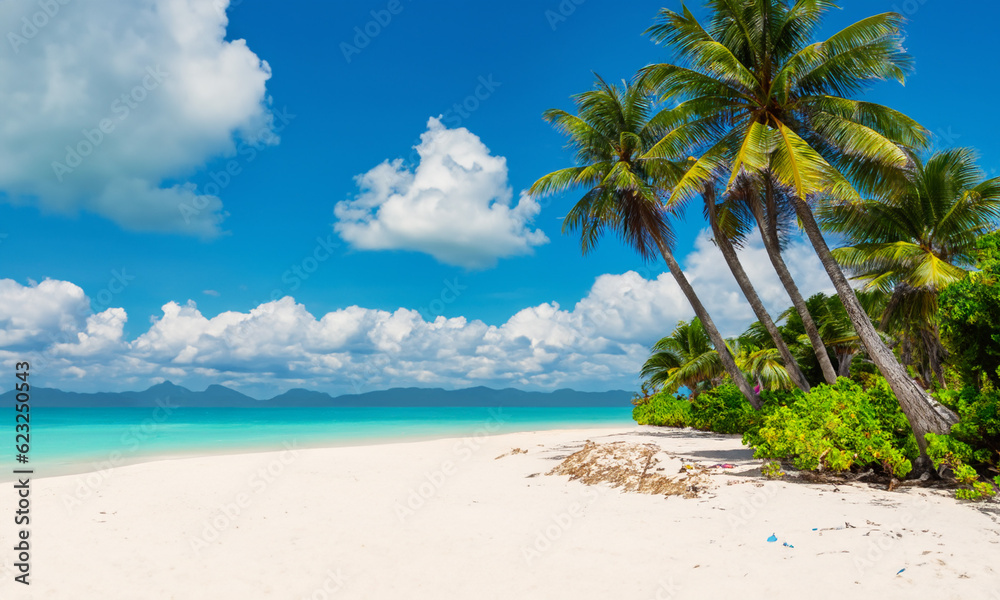 Landscape with coconut trees and sea on a beautiful beach.