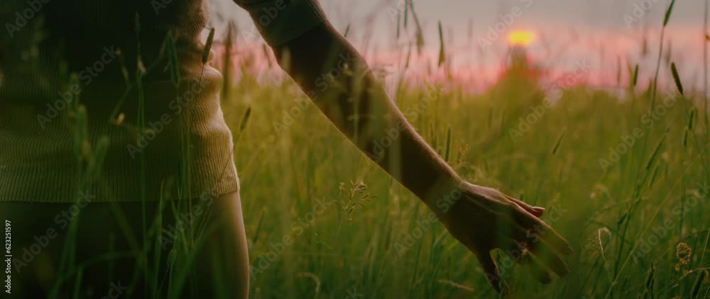 Back view of girl touching ears of high grass in wheat field. Woman enjoying sunset in grasslands.