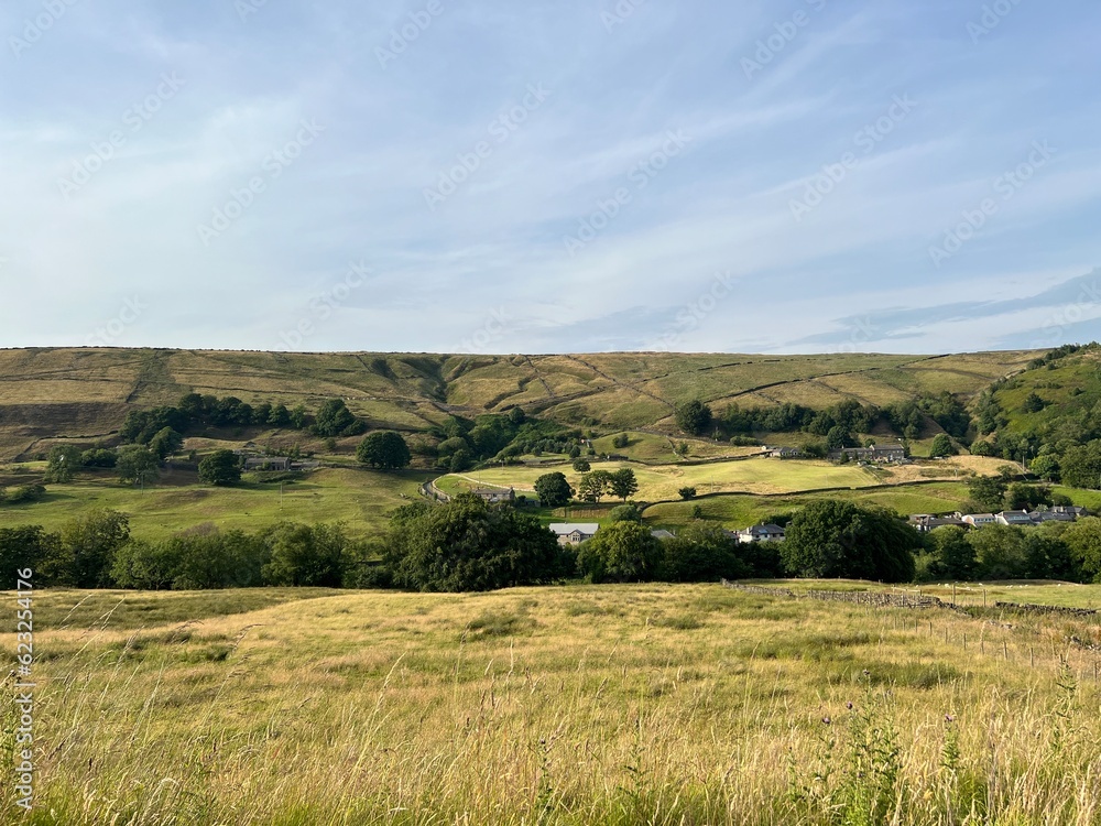 Evening country landscape, with wild grasses, trees, farms, and distant hills near, Manchester Road, Marsden, UK