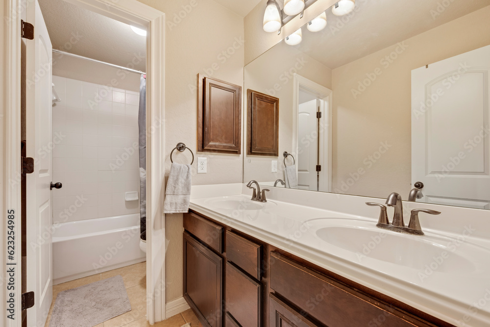 Fototapeta premium home bathroom 