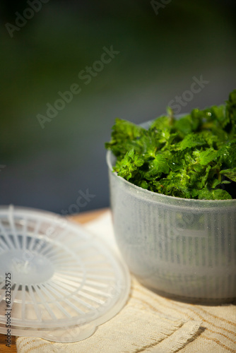 Obraz na płótnie Salad spinner, also known as a salad tosser, kitchen tool used to wash and remove excess water from mint. Close-up. w salonie