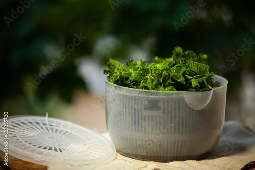 Obraz na płótnie Salad spinner, also known as a salad tosser, kitchen tool used to wash and remove excess water from mint. w salonie