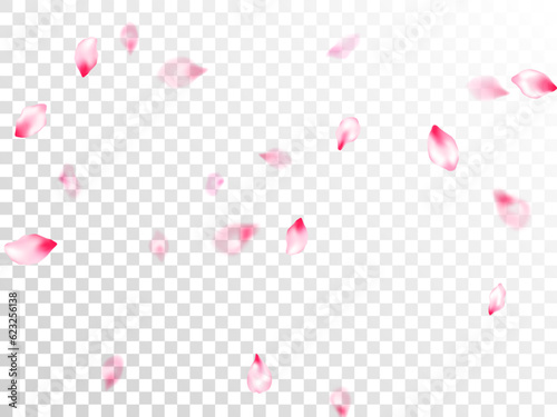 Spring blossom isolated petals flying
