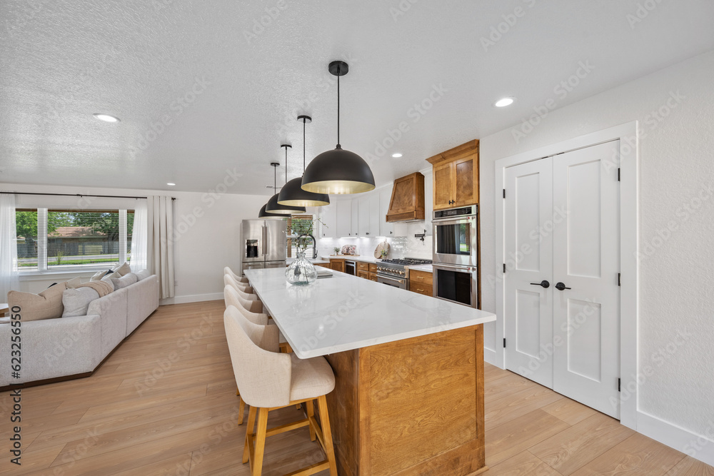 Obraz premium luxury kitchen 