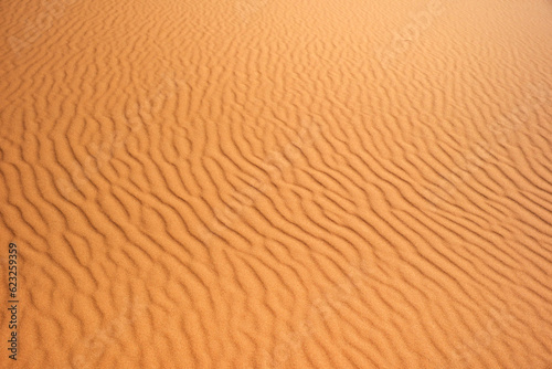 サハラ砂漠の風紋