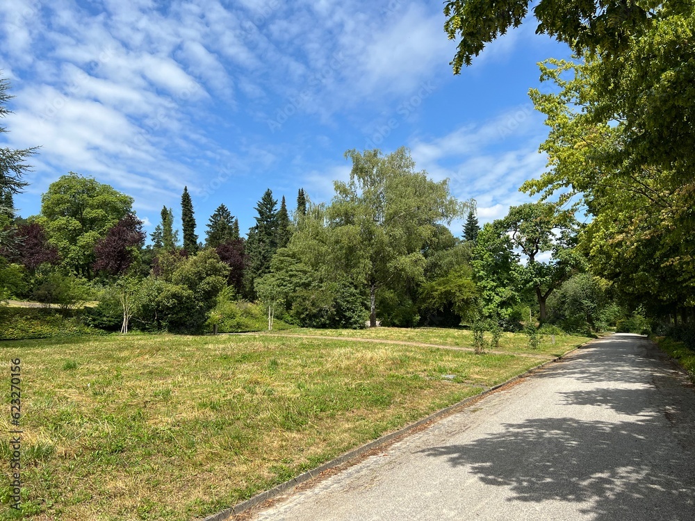 Nordheim Cemetery Park or Park of the Nordheim cemetery - Park des Nordheimer Friedhofs oder Friedhofspark Nordheim - Zürich (Zurich or Zuerich), Switzerland (Schweiz)