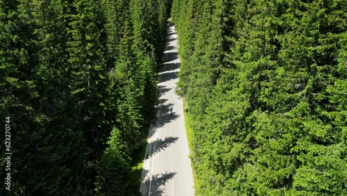 A drone following a girl cyclist riding on a road through a spruce forest. Cycling adventure in Bucegi National Park. Female cyclist is training on empty mountain road. Sport motivation video. photo