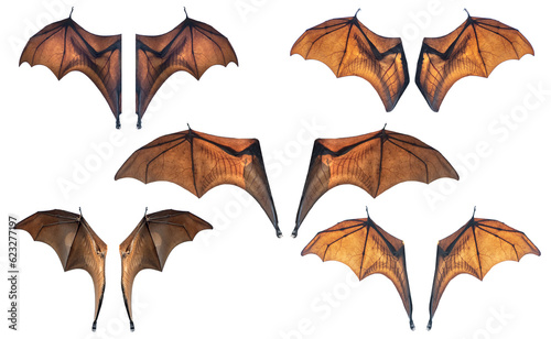 Bat wings isolated on white background