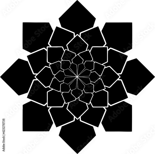 black and white vector