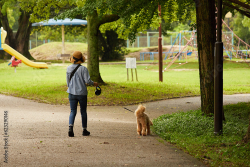 真夏の公園で犬を連れて散歩している主婦の後姿