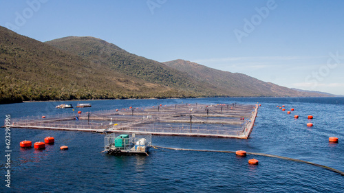 balsa jaula salmones en fiordo