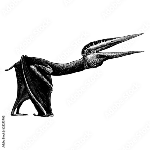 Thanatosdrakon hand drawing vector isolated on background.