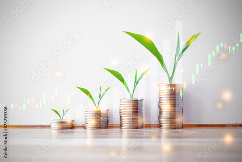 Plant on coin stack growing and Family icon over green bokeh background,investment and Save Money concept.