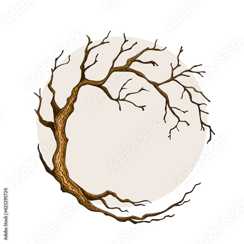 Circle Tree bare, leafless tree with empty branches