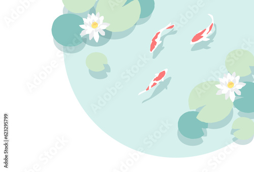 睡蓮の咲く池で泳ぐ錦鯉のイラスト